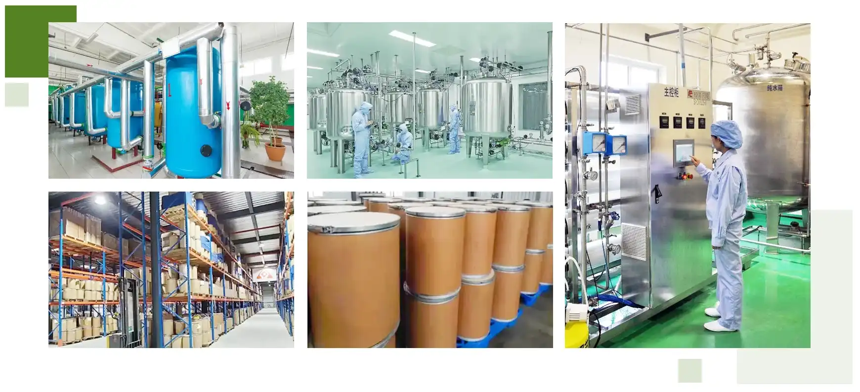 yam-peptide-powder -factory