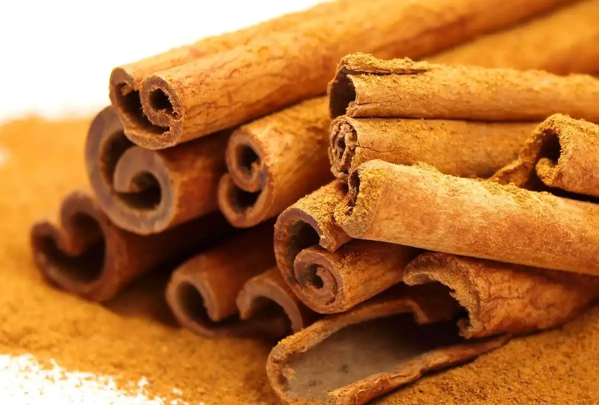 Cinnamon Bark Extract