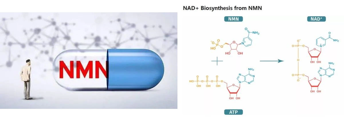 product-1-1 product-1-1