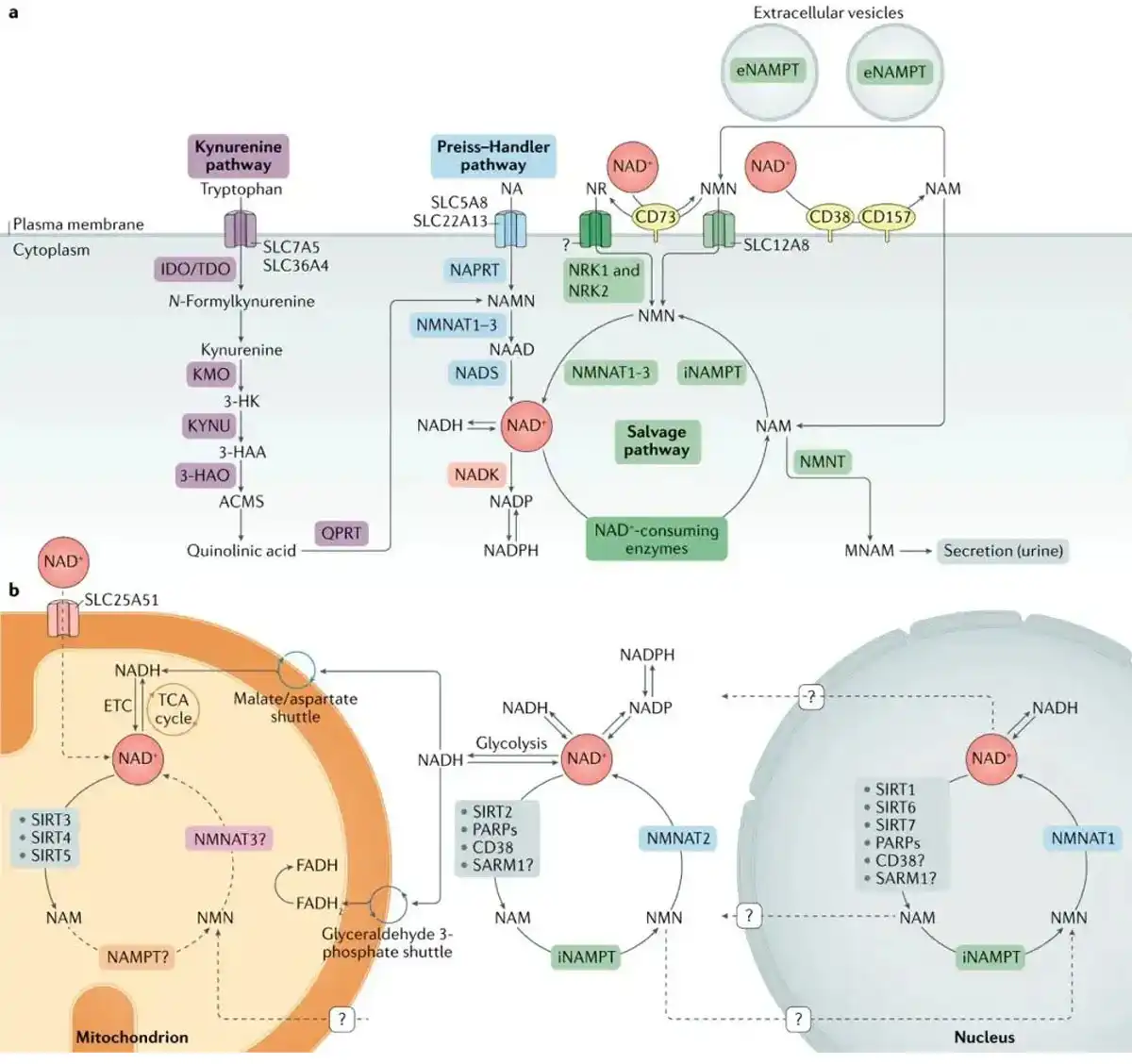 product-1-1 product-1-1
