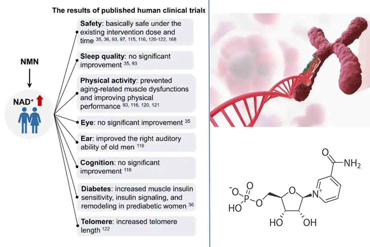 product-1-1 product-1-1
