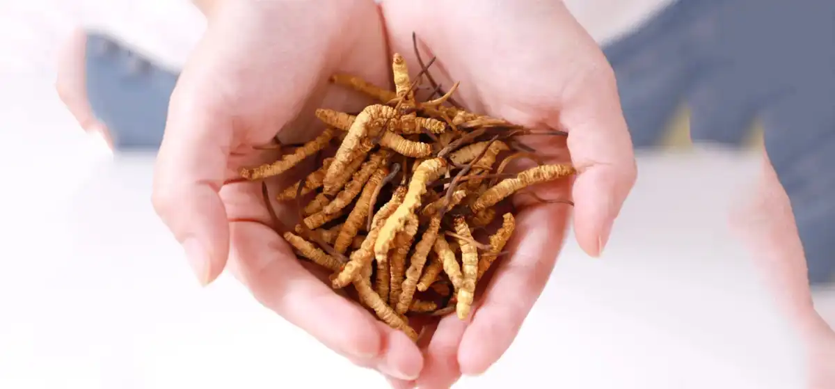 product-1-1 product-1-1