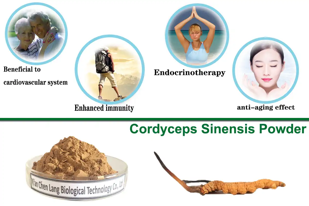 product-1-1 product-1-1