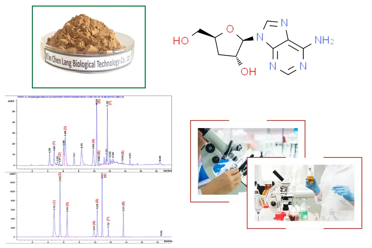 product-1-1 product-1-1