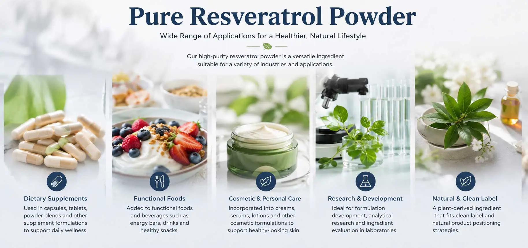 Resveratrol-Powder-applications Resveratrol-Powder-applications