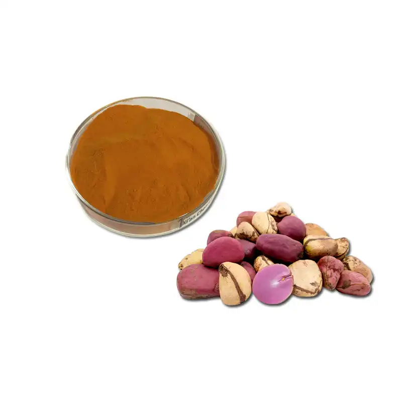 Kola Nut Extract Powder