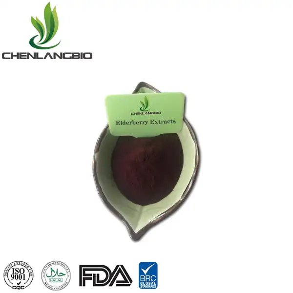 Elderberry Extract Powder