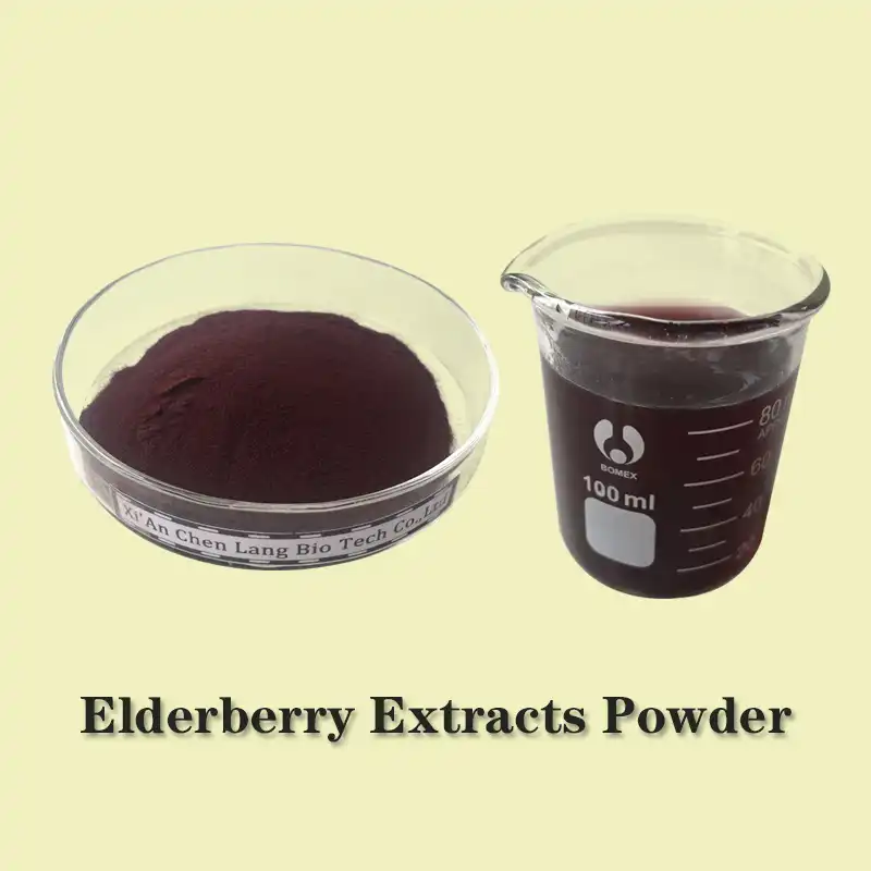 Elderberry Extract Powder