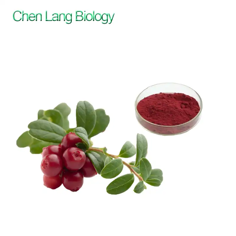 Raspberry Freeze Dried Powder