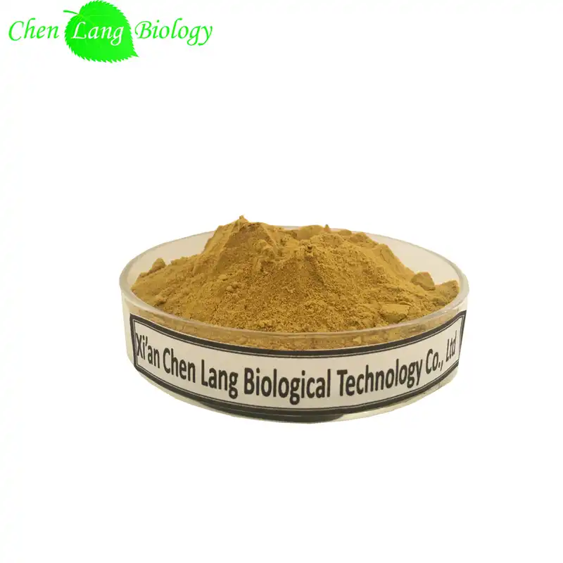 Angelica Root Extract