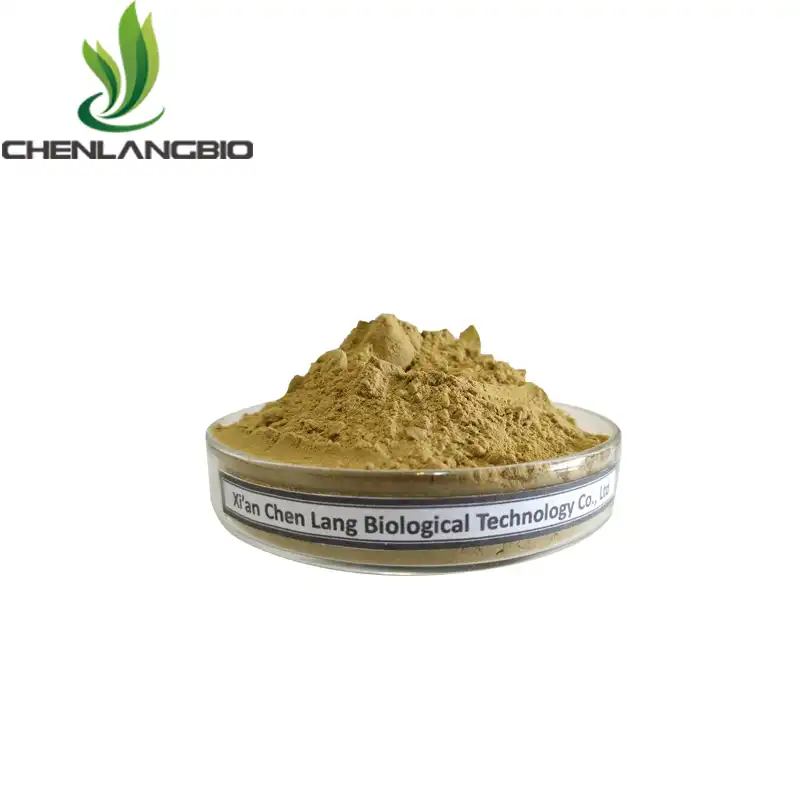 Bacopa Monnieri Extract Powder