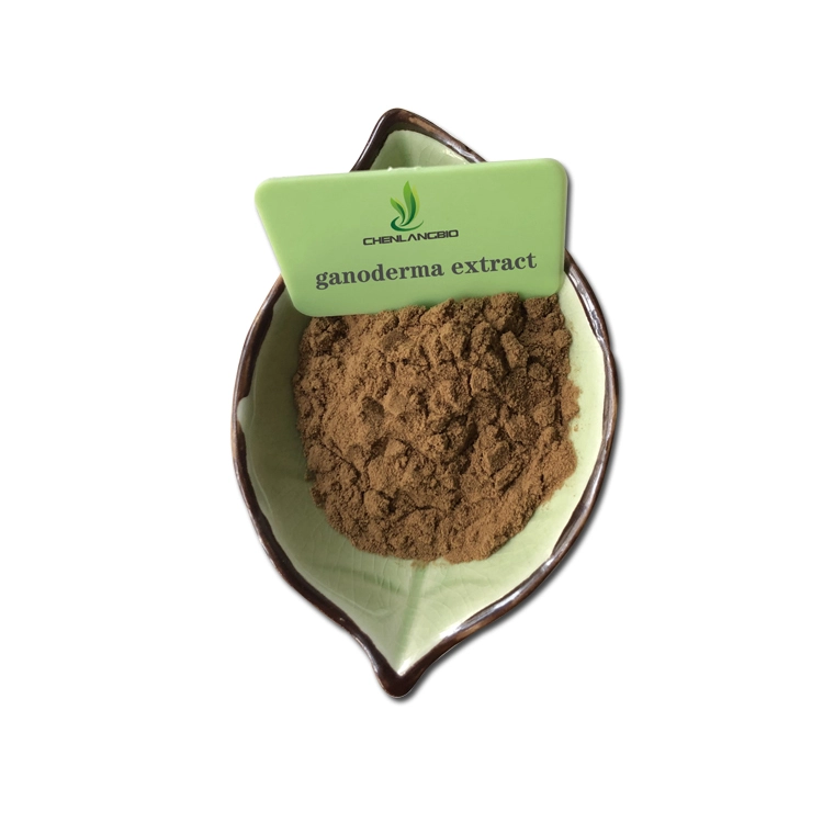 Reishi Mushroom Extract Powder