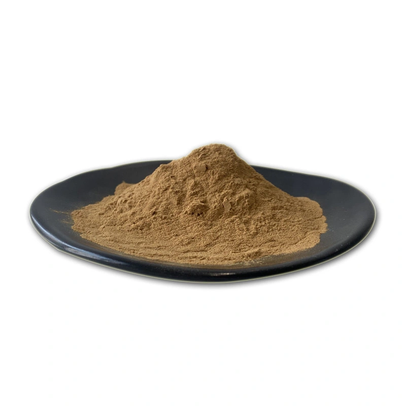 Yucca Extract Powder