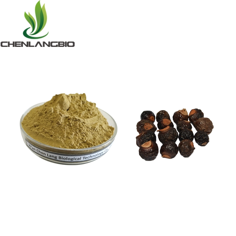 Soapnut Extract Powder