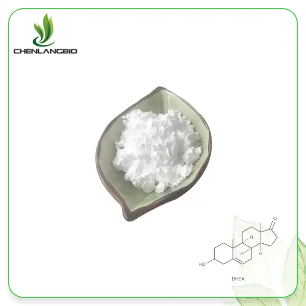 DHEA Powder